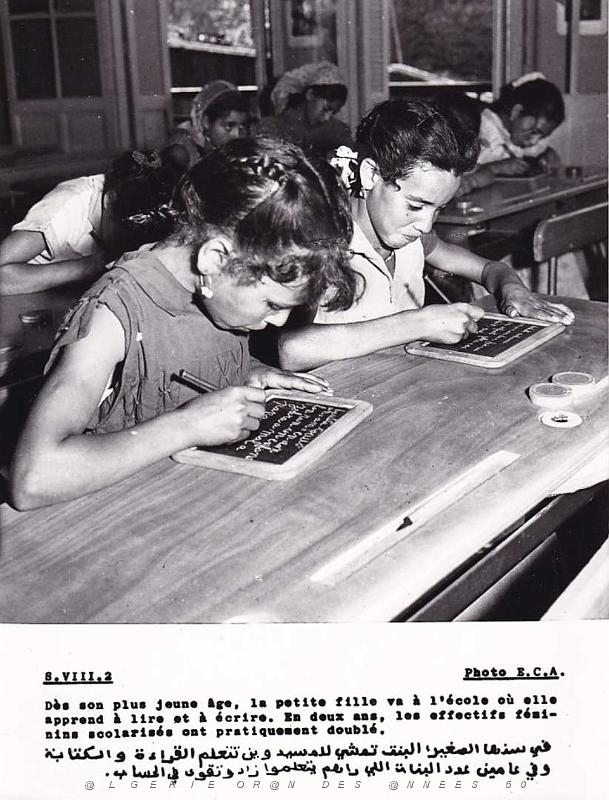 Algerie propagande 082.jpg